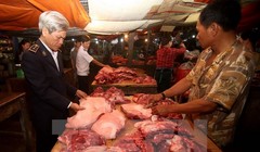 Dùng chất cấm trong chăn nuôi: Phạt 1 tỷ đồng và hơn 20 năm tù 