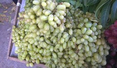 Nho xanh Trung Quốc có cả loại có hạt và không có hạt