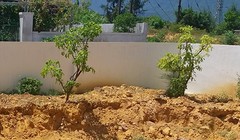 Công tác của cán bộ Sở TN&MT Hà Tĩnh có phần vội vã và chưa đầy đủ.