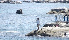 Bãi biển Cà Ná, tỉnh Ninh Thuận. Ảnh: diadiemdulich.com