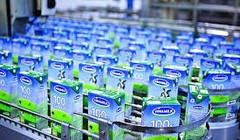 F&N Dairy Investments PTE đang nắm giữ 14.29% VĐL tại VNM