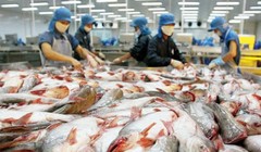 Liệu HVG có đi vào "vết xe đổ" của Bianfishco?