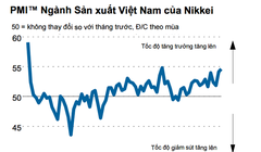 Nguồn: Báo cáo của Nikkei