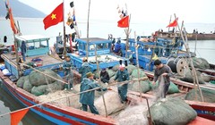 Ảnh minh họa - Nguồn: Internet