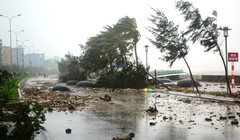 Ảnh minh họa - Nguồn: VGP