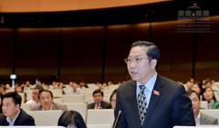 Đại biểu Quốc hội Lưu Bình Nhưỡng.