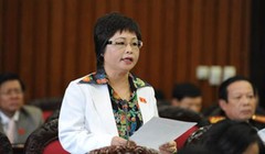 Bà Châu Thị Thu Nga, nguyên Đại biểu Quốc hội khoá XIII.