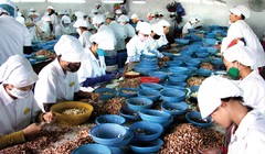 Ảnh minh họa - Nguồn: Internet