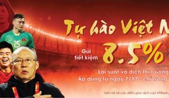 Đây không phải lần đầu tiên VPBank tung ra chương trình ưu đãi lan tỏa tình yêu với đội tuyển Việt Nam