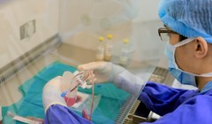 Vinmec đã sử dụng cơ chế tế bào gốc sau khi được tách chiết, truyền vào cơ thể người bệnh sẽ giúp tiết ra một số chất như “siêu vitamin” để nghiên cứu điều trị nhiều bệnh phức tạp