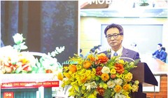 Phó Thủ tướng Vũ Đức Đam phát biểu tại Hội nghị. Ảnh Mic