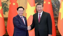 Chủ tịch Quốc hội Vương Đình Huệ hội kiến Tổng Bí thư, Chủ tịch nước Trung Quốc