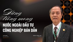 GS Đặng Lương Mô: Đừng trông mong nước ngoài đầu tư công nghiệp bán dẫn, vi mạch