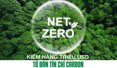 Kiếm hàng triệu USD từ bán tín chỉ carbon