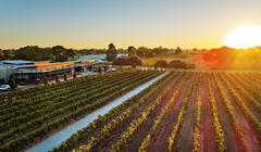 Thưởng thức rượu vang hảo hạng tại thung lũng Swan, Tây Australia