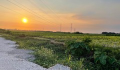 Sau khởi công rầm rộ, dự án tỷ đô Trump International Hưng Yên giờ ra sao?