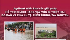  Agribank tiếp tục giảm tới 2% lãi vay hỗ trợ khách hàng thiệt hại do bão số 12, 13 và mưa lũ