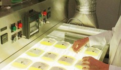 Thí nghiệm mới nhất về bệnh Alzheimer's (Ảnh: Business Insider)