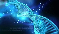 Giải mã ADN rất cần đến công nghệ thông tin. Ảnh: blogsinhhoc.com