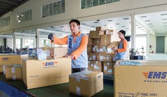 Không có mã bưu chính trên bì thư, bưu kiện nên việc phân loại ở Việt Nam hoàn toàn phải làm thủ công. Ảnh: báo Đầu tư