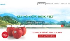 Mạng lưới Vietsearch kết nối cộng đồng người Việt (ảnh chụp màn hình)
