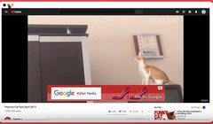 Với hình thức quảng cáo thông thường bằng Google Adsense, nhiều khi nội dung quảng cáo xuất hiện không hề liên quan tới đoạn video đang chạy trên màn hình. Điều này gây ra sự khó chịu cho người xem và lãng phí cho nhãn hàng chạy quảng cáo.