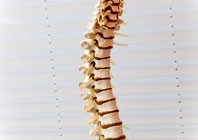 Nhờ dựa trên polyacrylamide hydrogel và cellulose, nên chất liệu mới có thuộc tính tương tự như mô sụn - Ảnh: Pixabay