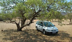 Trời nóng nên đỗ xe dưới bóng cây hoặc những chỗ không có nắng