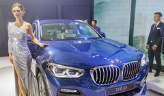 Nửa năm 2019 đi qua cho thấy xe nhập khẩu đang tăng trưởng rất nóng, nhiều mẫu xe mới ra mắt hâm nóng thị trường