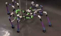 Phỏng sinh học là lĩnh vực khoa học hiện đại, chưa có tại Việt Nam