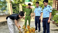 Phạt 62 triệu đồng chủ cơ sở bán rượu sâm không nguồn gốc