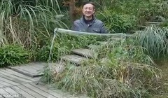 Ảnh cắt từ clip