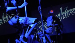 Robot vũ nữ múa cột (ảnh Getty Images)