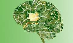 (ảnh minh họa: Pixabay)