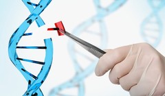 Có thể chỉnh sửa gene người để chống lại một số bệnh tật? (ảnh minh họa: New Atlas)