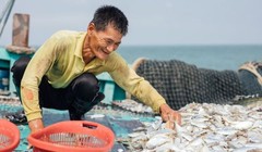 Thương mại điện tử là chìa khóa giúp người làm nông nghiệp và nghề cá tiêu thụ được nông sản và hải sản