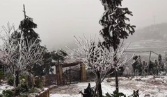 Tuyết trắng xoá ở Lào Cai