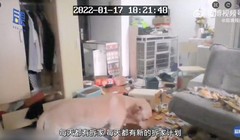 Chú chó cắn phá đồ đạc khi chủ nhân bị đưa đi cách ly (ảnh Weibo)