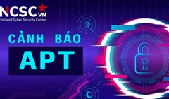 Cục An toàn Thông tin phát hiện 2 chiến dịch tấn công có chủ đích của nhóm Mustang Panda vào hệ thống thông tin của cơ quan, doanh nghiệp Việt Nam
