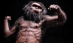 Tin nóng KHCN 8/6: Hé lộ điện thoại gập 3 của Samsung, loài người từng suýt tuyệt chủng