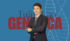 "Trí tuệ của Việt kiều có thể tạo ra tác động rất lớn nếu đặt đúng vào vị trí mà dân tộc cần"