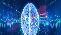 Công nghệ sẽ giúp não người trở nên bất tử (Ảnh Internet)