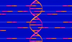 Ảnh minh họa (The Verge)