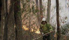 Australia đối mặt với những thiệt hại nặng nề do cháy rừng (Ảnh: AP)