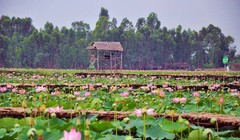 Bí quyết giúp du khách nắm rõ Đồng Tháp như lòng bàn tay