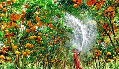 Khánh Hòa đầu tư cơ sở vật chất chuẩn bị đón khách dịp Tết