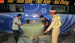 Hé lộ nguyên nhân voi đoàn xiếc quật chết cháu bé 12 tuổi