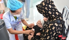 Bộ Y tế dự báo bệnh dại, sởi và cúm gia cầm có nguy cơ tăng cao