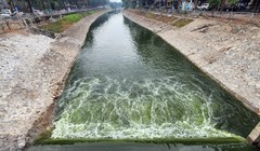 Hà Nội đề xuất Thủ tướng cho làm dự án khẩn cấp 550 tỷ đồng 'hồi sinh' sông Tô Lịch