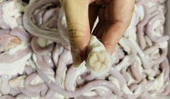 Lòng se điếu bán chợ online chỉ 25.000-40.000 đồng/kg, thịt nhập giá rẻ đổ bộ